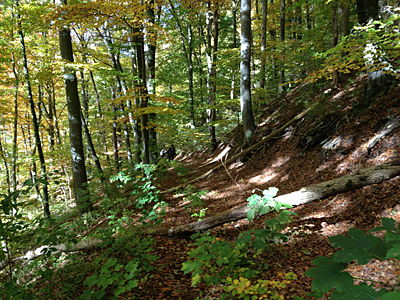 BdS Kirchheim Herbstwanderung 2012