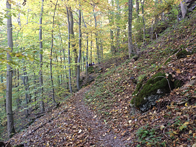 BdS Kirchheim Herbstwanderung 2012